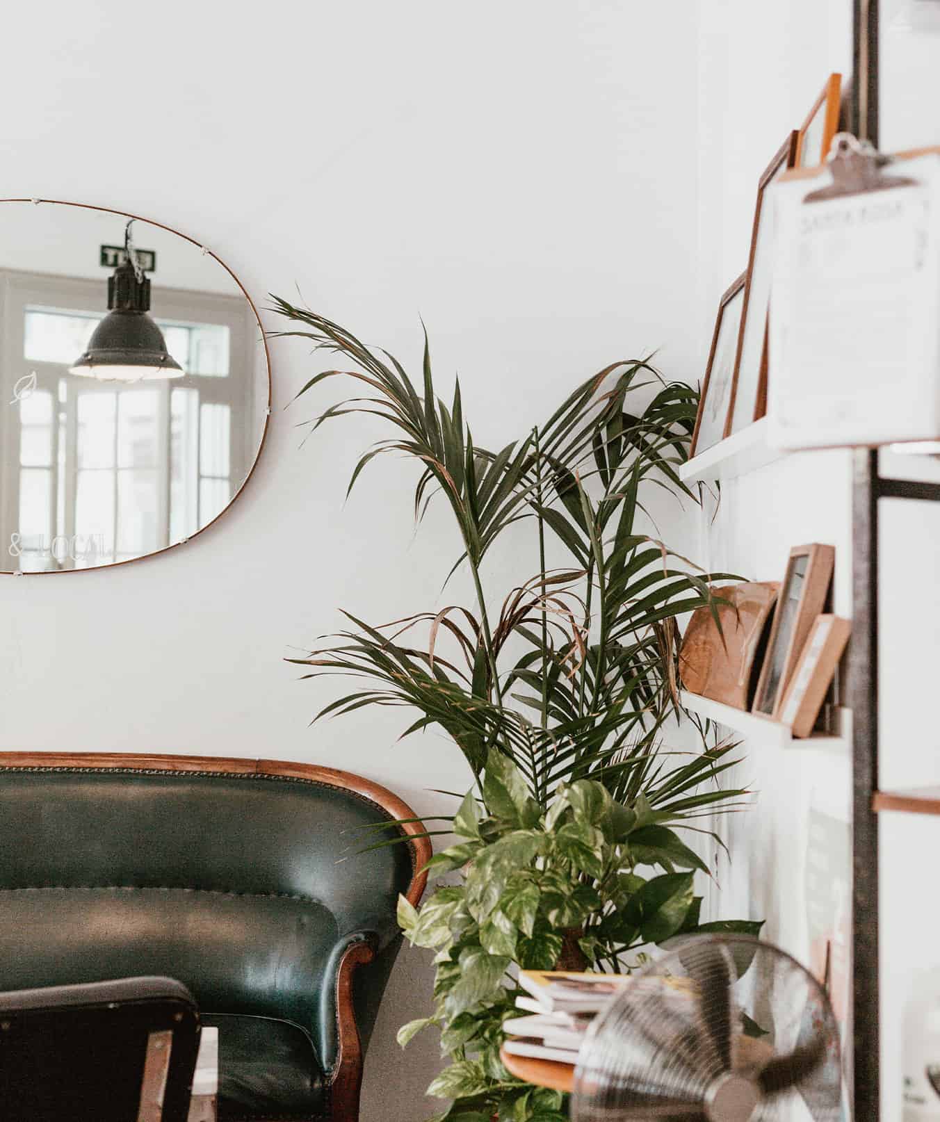 Corner of a room with a plant